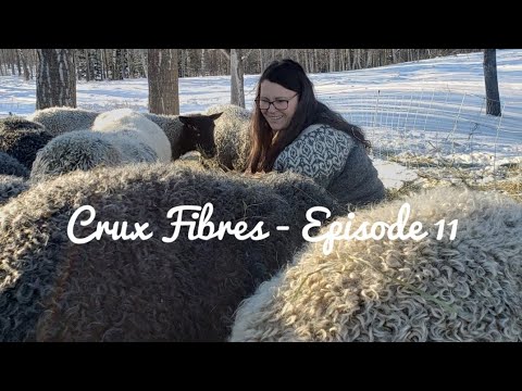 Crux Fibres - Episode 11 - Wool Romance, A Giveaway, Edmonton Fibre Frolic, West Knits 2022 MKAL FO