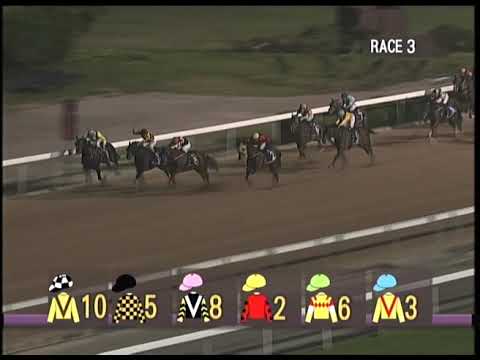 2021-11-12 Macau Meeting Race 3(0055) - THE BERRIGAN ROCK TO ROAD