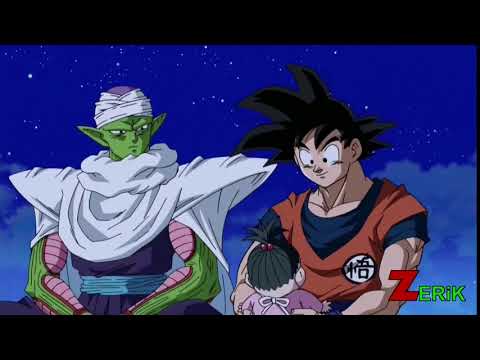 Kleiner Test mit Tommy als Son Goku.