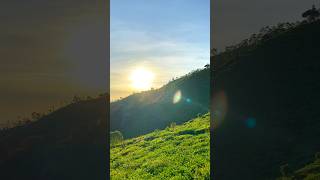 Download lagu Glamping di kebun teh jamus Ngawi #kebuntehjamus #glamping #wisatangawi #ngawihits #fyp #sunrise mp3