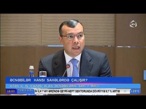 Əcnəbilər Hansı Sahələrdə Çalışır