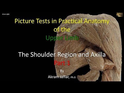 Test de imágenes - anatomía de la región del hombro y la axila - parte 1 