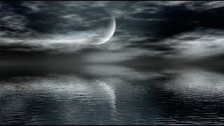 The Silhouet - Haunting You (lyrics)