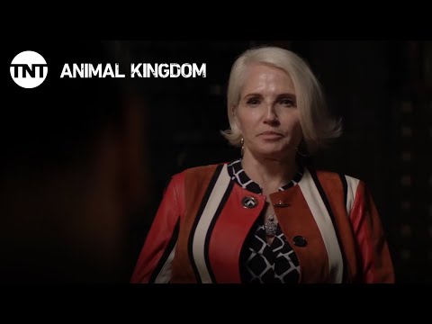 Animal Kingdom: All-Time Best Smurf Moments | TNT