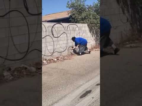 $ureños south side Delano x3 foos tagging in Delano norteños hood 👀