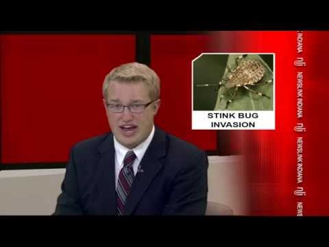 NewsLink Indiana September 29, 2014