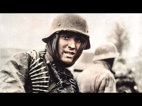 Volk Ans Gewher | Organ