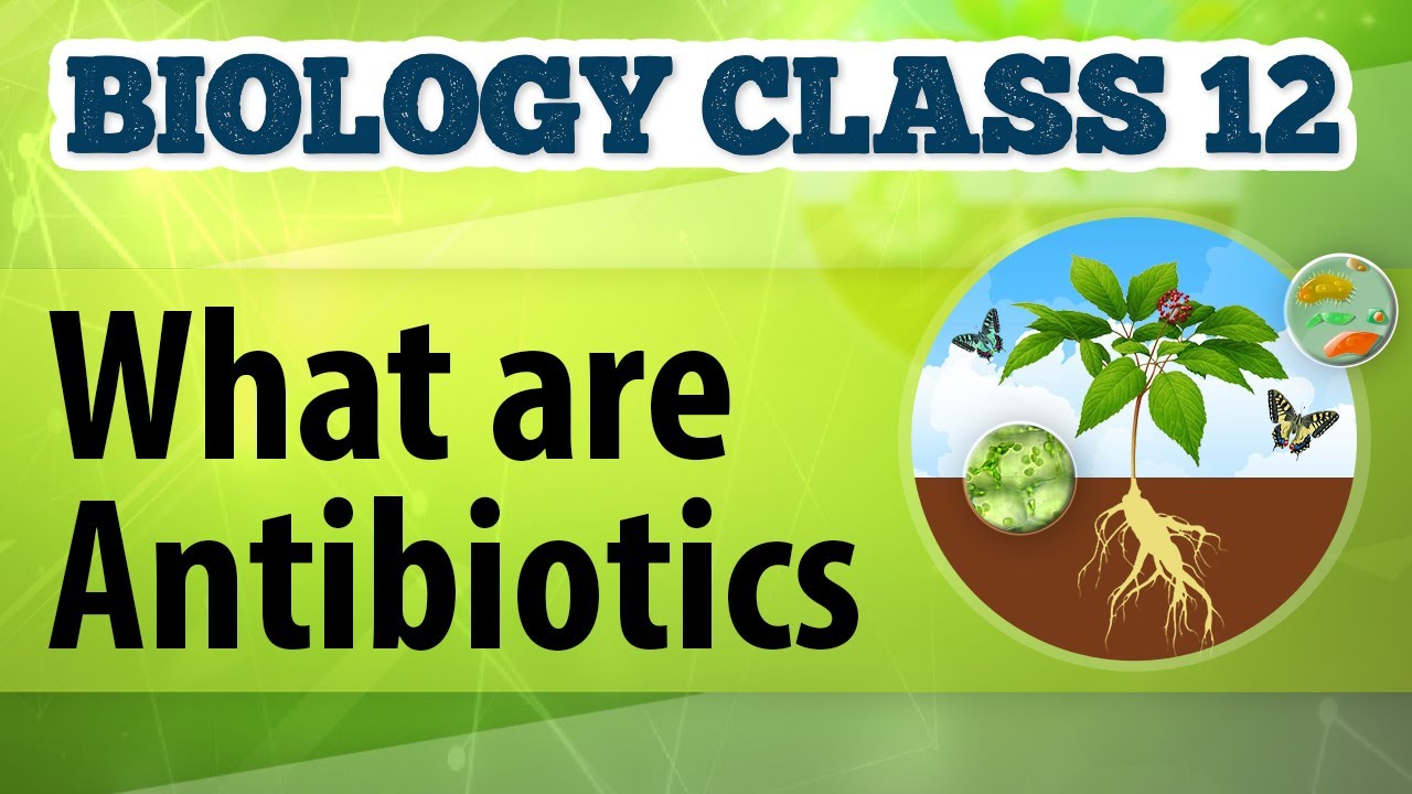 What Are Antibiotics - Microbes in Human Welfare - Biology Class 12
