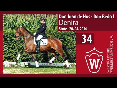34 Denira Stute v.  Don Juan de Hus -  Don Bedo I
