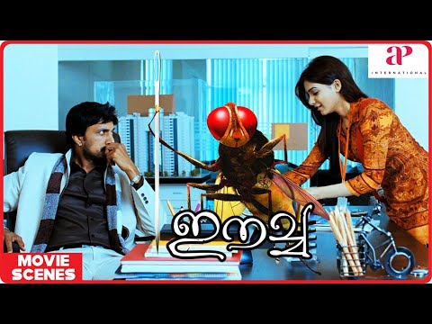 Eecha Malayalam Movie | Eecha Best Scenes - 01 | Nani | Samantha Ruth Prabhu | Sudeep | SS Rajamouli