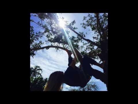 reaching for the sun - joy zipper