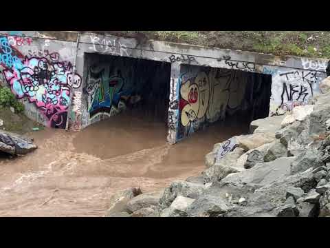 Rats, Rats, Rats 2, Casentini Follow-Up During Heavy Rain 01/27/21 Salinas, California