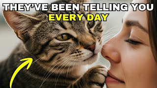 Download lagu 10 Ways Cats Say “I Love You” Without Saying a Word mp3 Download lagu 10 Ways Cats Say “I Love You” Without Saying a Word mp3