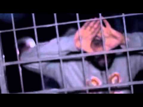 Amnesya Libanon 2015