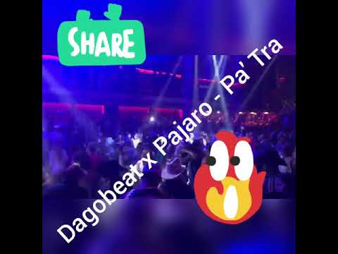 DAGOBEAT x EL PAJARO - PA' TRA (Video en Vivo)
