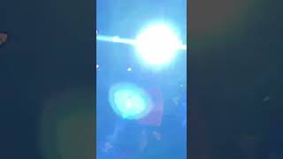 Download lagu RUNTAH - Difarina Indra OM ADELLA LIVE #shorts #koplo #indonesia #jatim #omadella mp3