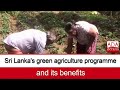 Sri Lanka S Green Agriculture Programme And Its Benefits English