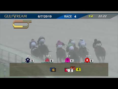 Gulfstream Park June 7, 2019 Race 4
