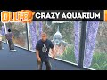 Crazy Aquarium: Atlantis 14