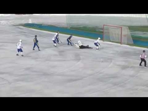 Зоркий -Динамо М 22. 03 .14 .
