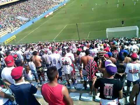 Eo eo eo Tricolor tricolor