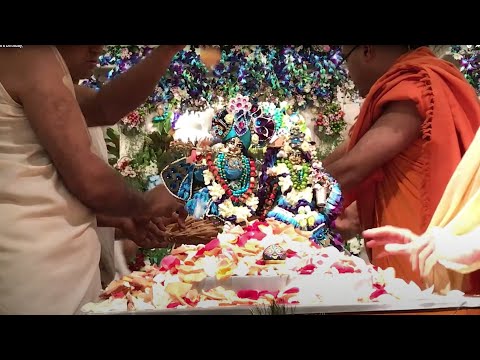 Srimati Radharani’s birthday,