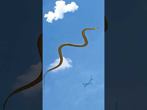 Flying Snakes: Carnivorous Hunters of the Treetops #snake #animals