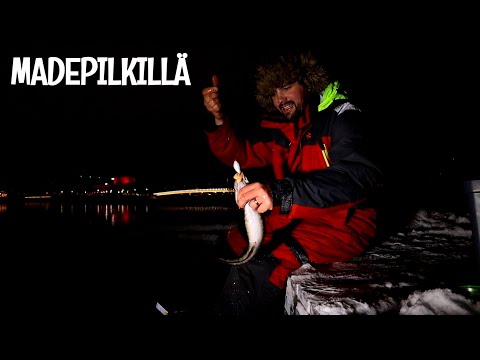 MADETTA PILKKIMÄSSÄ - MISTÄ, MILLOIN JA MILLÄ?