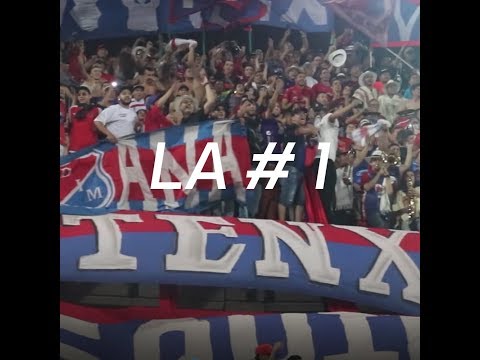 Descontrolado yo vengo igual / Te corre y te pega / Medellín vs América 2019