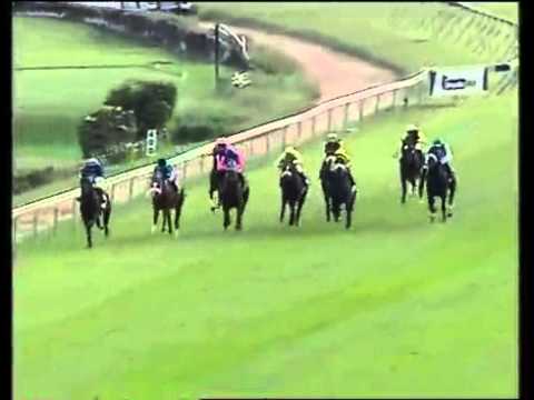 2011-02-01 Greyville - race 2