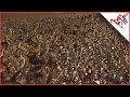 14040 ORC BOYZ Vs 4680 GREATSWORDS Total War WARHAMMER Massive BATTLES