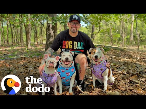 Guy Keeps Adopting Deaf Dogs Who Help So Many People | The Dodo