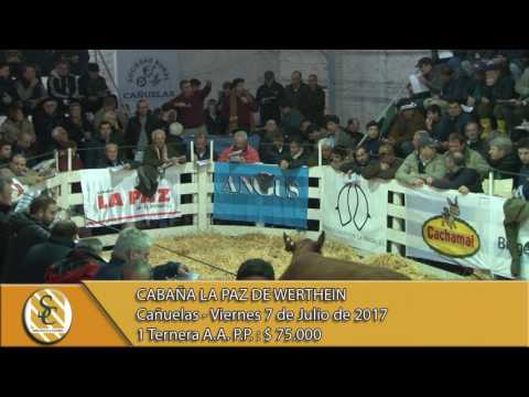 07-07-17 Venta de Hembras P.P. - Cabaña La Paz - Cañuelas.