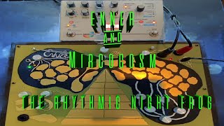 Video thumbnail for Enner jam - the rhythmic night frog by Somnambule