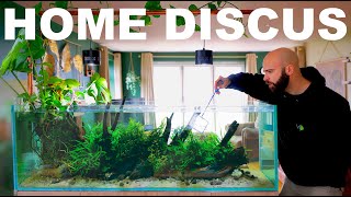 Building A Home Discus Aquarium (EP3)
