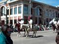St. Patrick's Day Parade 2010 ( 12 )