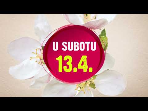 Mercator redovni katalog, 11.4.-24.4.2019.