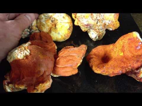 Different colorings in lobster mushrooms