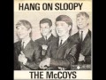 The McCoys - Hang on Sloopy
