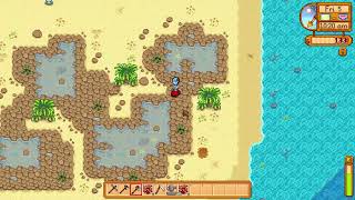 Why you should fix the Bridge on the Beach as soon as possible - Stardew Valley 1.5