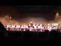 AAHS Marching Band Whiter Shade Of Pale