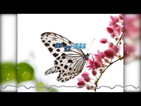 Mushun Dhemigen fiyey Karaoke