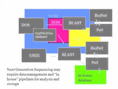 Bioinformatics 101 - Intro
