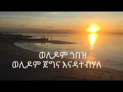 🔆 Ephrem Amhare 'Sey (ሰይ) Ethiopian new music