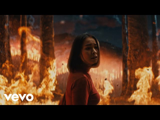 The Only Heartbreaker von Mitski ((jetzt ansehen))