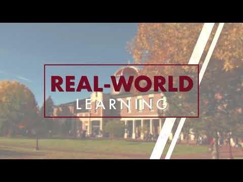 Master's in Management