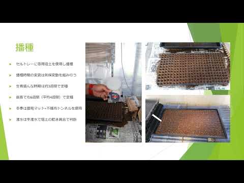 食物栄養学科 MYP農福連携(ユニバーサル農園)