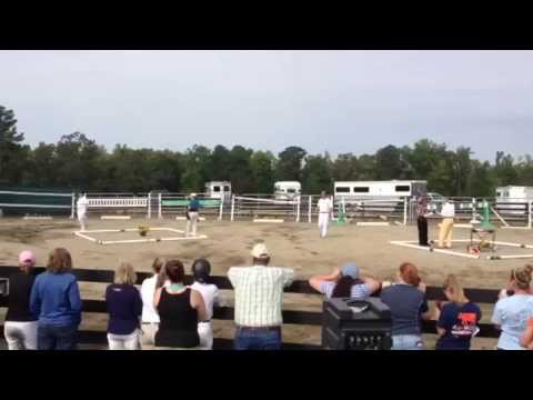 September 18, 2013 KWPN-NA Keuring, Gotham