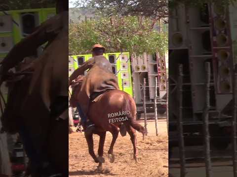 Vaqueiro bruto tirou a tábua #romariofeitosa #pegadeboinomato #vaquejada #vaqueiro