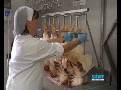 Trattamento delle ernie lombari sacrale Mal di schiena come muscolo